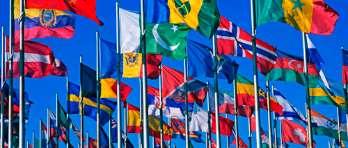 A relocation specialist and a network can make immigration easier
