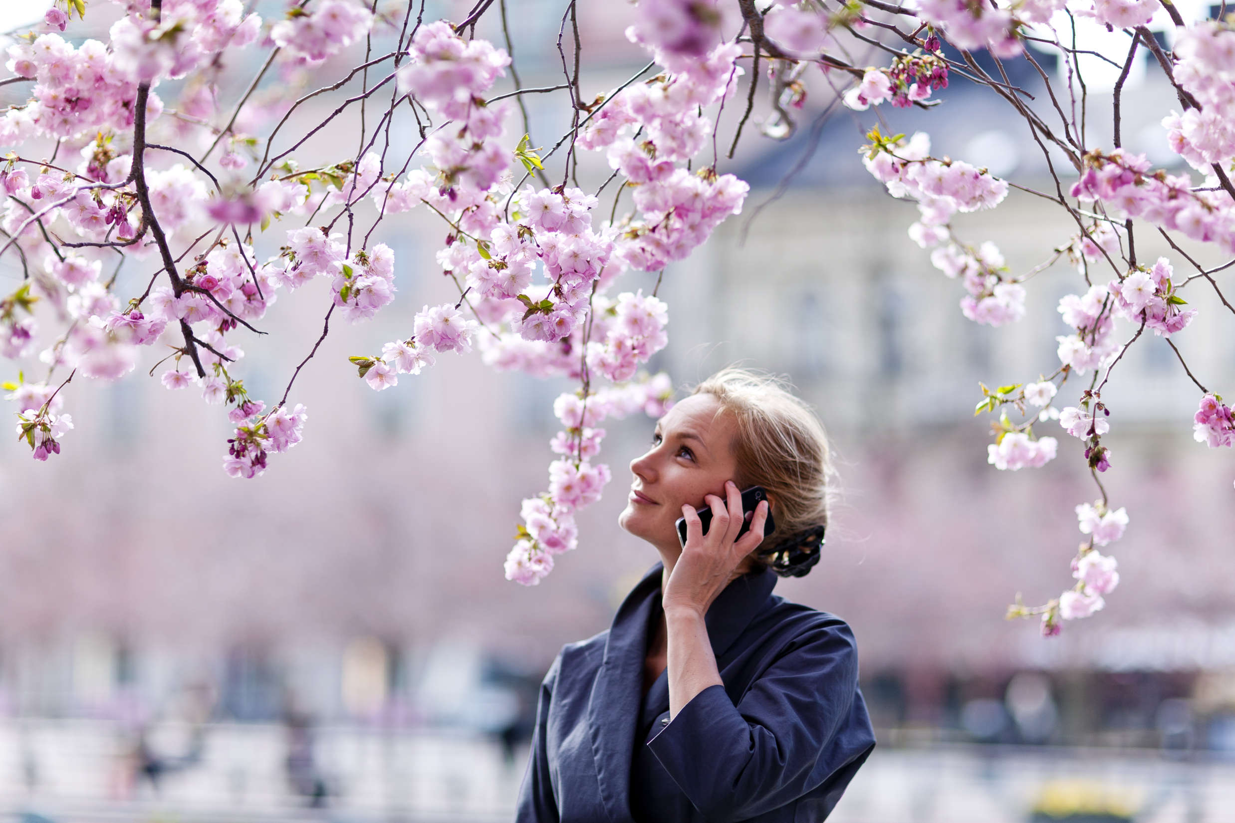 Summer in Sweden: How to Navigate Vacation Season and Relocation Like a Pro 
