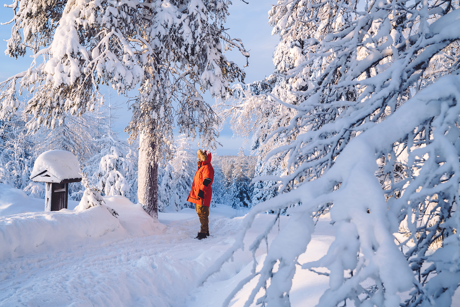 Thriving through Sweden’s second winter